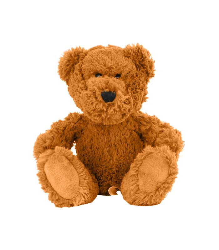 Teddy bear s hoodie majicom, plišana igračka, 21cm
