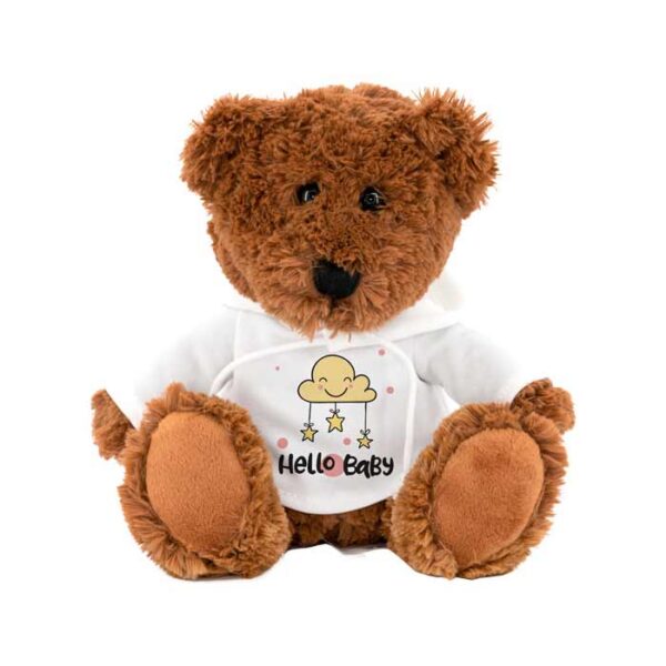 Teddy bear s hoodie majicom, plišana igračka, 21cm