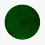Flocked Green termo transfer folija, HTV, 22.9×91.4cm