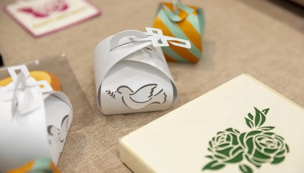 Cameo_Alpha_Diverse_projects-7